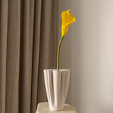 Calla Lily Flower Yellow