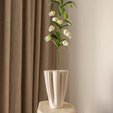 Chinese Lantern Lily White