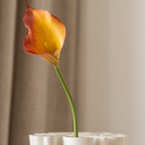 Calla Lily Flower Small Orange