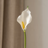 Calla Lily Flower Small White