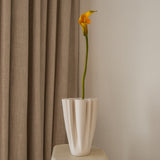 Calla Lily Flower Orange
