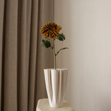 Chrysanthemum Flower Brown
