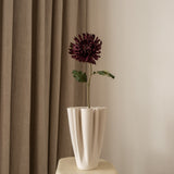 Chrysanthemum Flower Purple