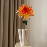 Chrysanthemum Flower Large Orange