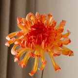 Chrysanthemum Flower Large Orange