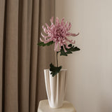 Chrysanthemum Flower Large Purple