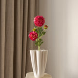 Dahlia Flower Pink
