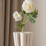 Dahlia Flower White