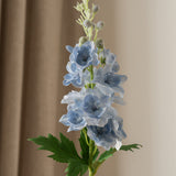 Delphinium Flower Blue