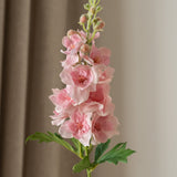 Delphinium Flower Pink