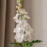 Delphinium Flower White
