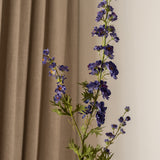 Delphinium Flower Long Blue