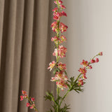 Delphinium Flower Long Pink