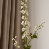 Delphinium Flower Long White