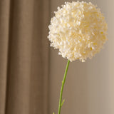 Dandelion Flower Big