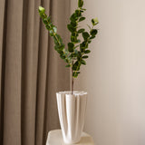 Eucalyptus Green