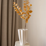 Eucalyptus Orange