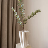 Eucalyptus White-Green