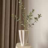 Eucalyptus Parvifolia White Green