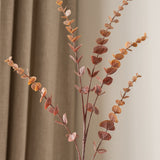 Eucalyptus Leaf Branch