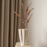 Eucalyptus Leaf Branch