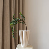 Eucalyptus Gunnii Green