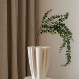 Eucalyptus Gunnii Green