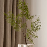 Fern Leaves