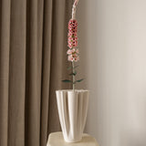 Foxtail Flower Pink