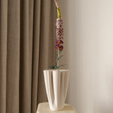 Foxtail Flower Purple
