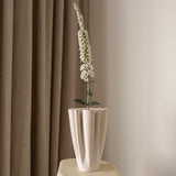 Foxtail Flower White