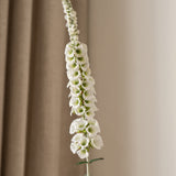 Foxtail Flower White