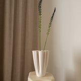 Foxtail Grass Blue