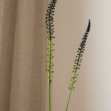 Foxtail Grass Blue