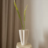 Foxtail Grass White