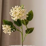 Hydrangea Berry Branch White
