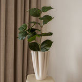 Hydrangea Leaves