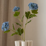 Hydrangea Flower Small Blue