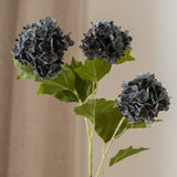 Hydrangea Flower Small Dark Blue