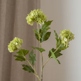 Hydrangea Flower Small Light Green