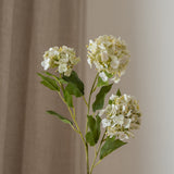 Hydrangea Flower Small White