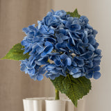 Hydrangea Flower Blue