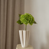 Hydrangea Flower Green