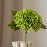 Hydrangea Flower Green