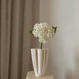 Hydrangea Flower White