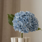 Hydrangea Flower Light Blue