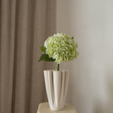 Hydrangea Flower Light Green