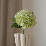 Hydrangea Flower Light Green
