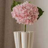 Hydrangea Flower Light Pink