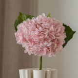 Hydrangea Flower Light Pink